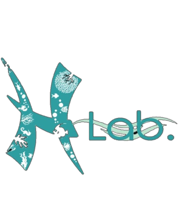 Hlab.id Logo
